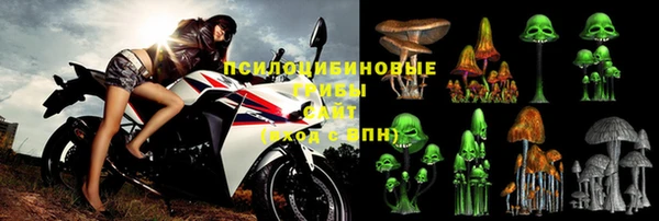 твердый Армянск