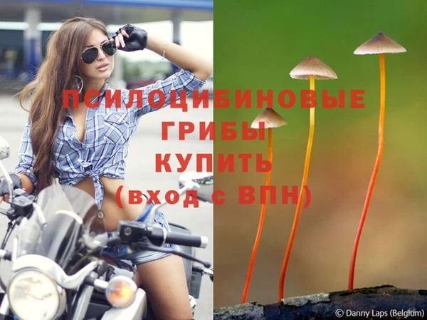 дмт Арсеньев