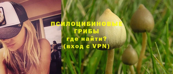 твердый Армянск