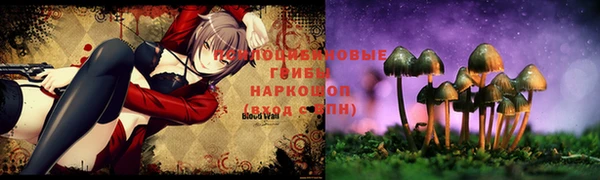 дмт Арсеньев