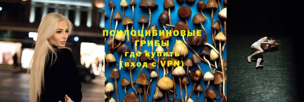 дмт Арсеньев
