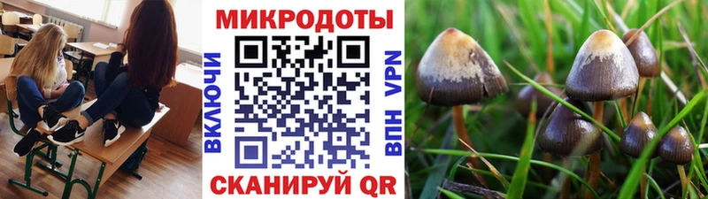 Псилоцибиновые грибы Cubensis  Купить  Советский 